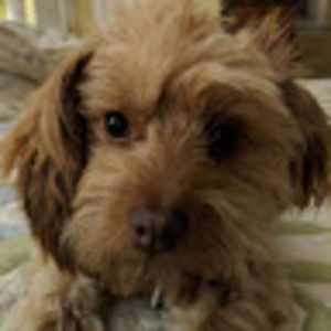 Meet your Posher, Larry